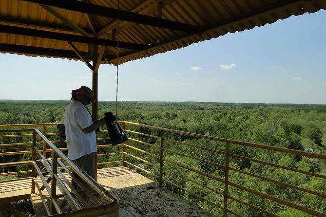 Full-day Can Gio Eco Escape And Wildlife Discovery - Practical Details and Value