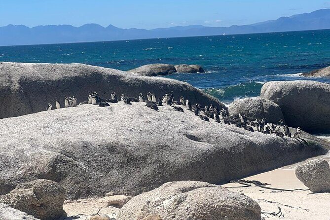 Full-Day Cape of Good Hope and Table Mountain with Penguins Tour - Ending the Day and Drop-off
