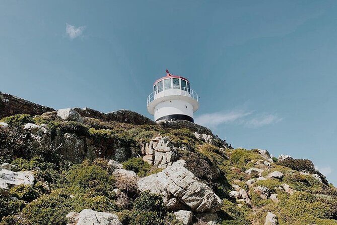 Full Day Cape of Good Hope-Cape Point Group Tour from Cape Town - Transportation and Group Size