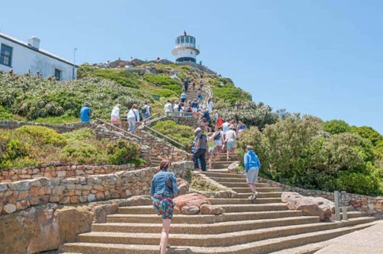 Full-Day Cape Peninsula Tour, Private Guide Penguins viewing - Final Thoughts