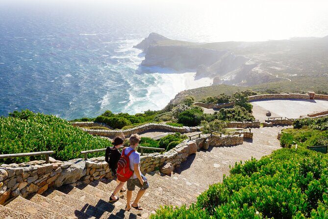 Full Day Cape Peninsula Tour - A Deep Dive into the Itinerary