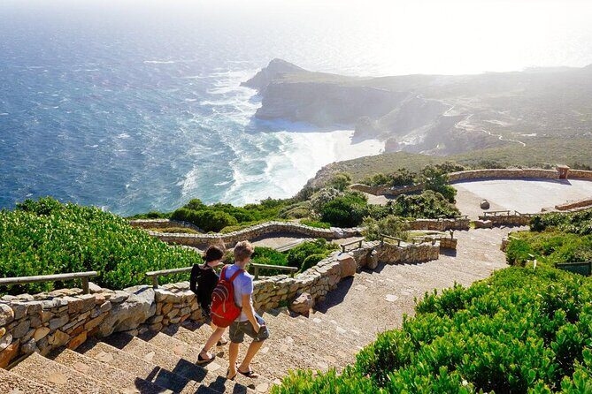 Full Day Cape Point Sightseeing Tour - What the Experience Looks Like