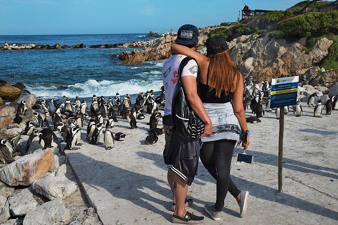 Full-Day Cape Town Private Transfers and Chauffeur Services - The Value: Cost vs. Experience