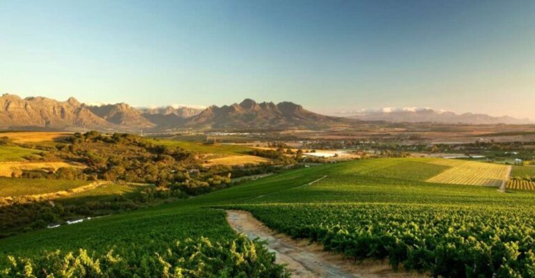 Full-Day Cape Winelands Tour - How Does the Tour Deliver Value?