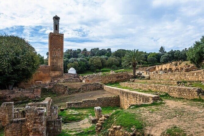 Full-Day Casablanca and Rabat Private Guided Tour - Who Will Love This Tour?