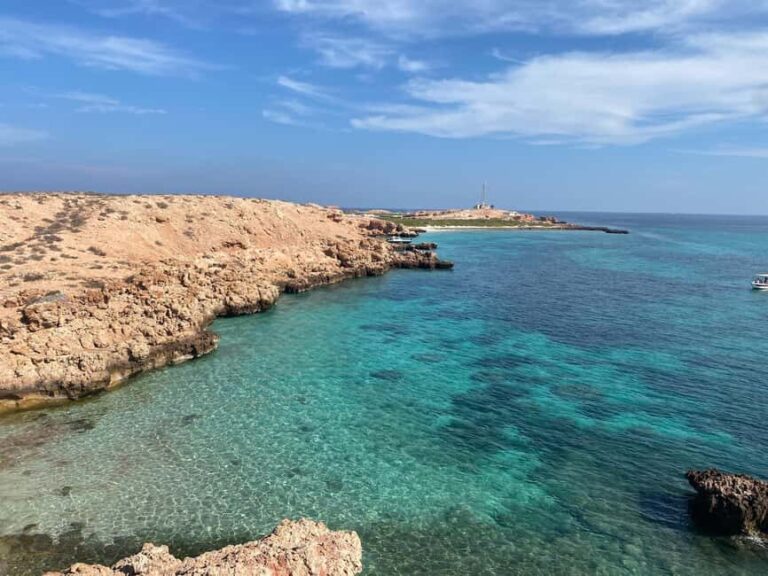 Full day Catamaran Cruise to Daymaniyat Islands - The Value of the Experience