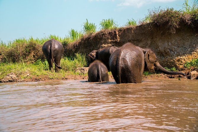 Full Day Chauffeur Driven Tuk Tuk Adventure in Chiang Mai including rafting - What Sets This Tour Apart?