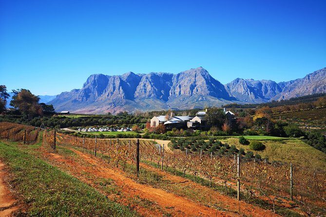 Full-Day Chocolate, Cheese, Olive and Wine Tour from Stellenbosch - Who Will Love This Tour?