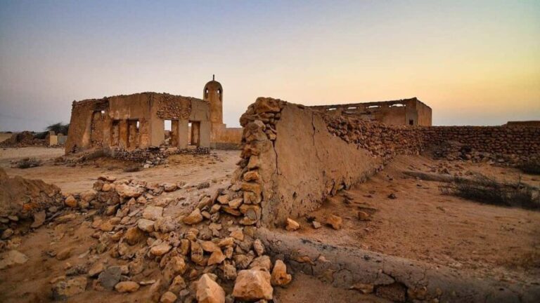 Full-Day City and North Qatar Tour With Pickup From Doha - Is This Tour Worth Its Price?