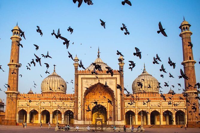 Full day Delhi tour with a Local - Private Delhi Day Tour - A Closer Look at the Itinerary