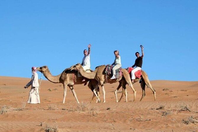 Full-Day Desert Safari Jeep Tour in Ash Sharqiyah Governorate - Who Will Love This Tour?