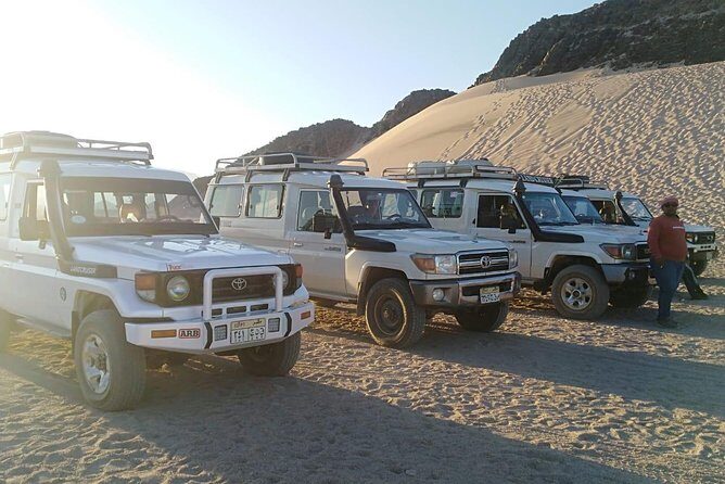 Full Day-Desert Safari To Sahara Park by jeep - Transport, Timing, and Group Size