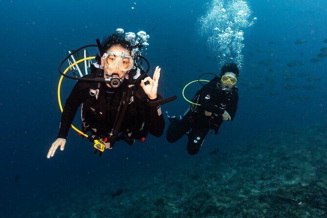 Full-Day Discover Scuba Diving Tour for Beginners in Tulamben - What Sets This Tour Apart?