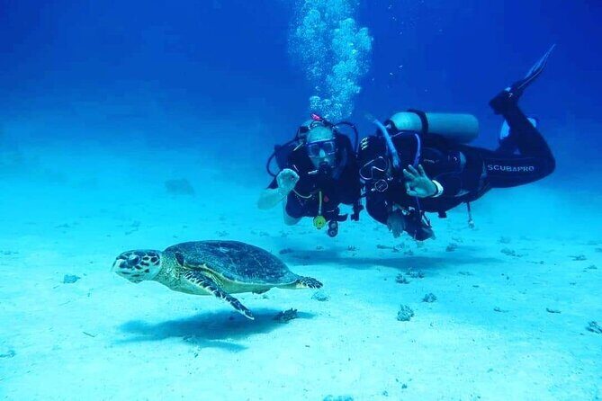 Full Day Diving for Beginners with Lunch in Hurghada - The Practicalities