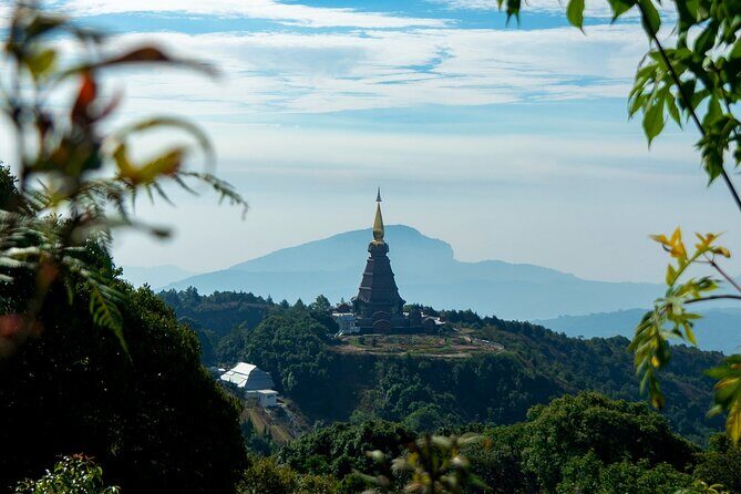 Full-Day Doi Inthanon National Park Tour with Trek and Pagodas - What Real Travelers Say