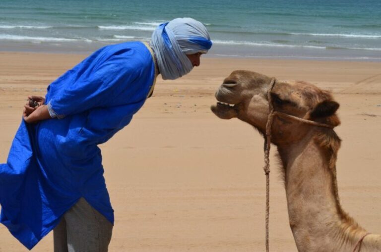 Full-Day Dromedary Ride in Essaouira - Authenticity and Unique Features