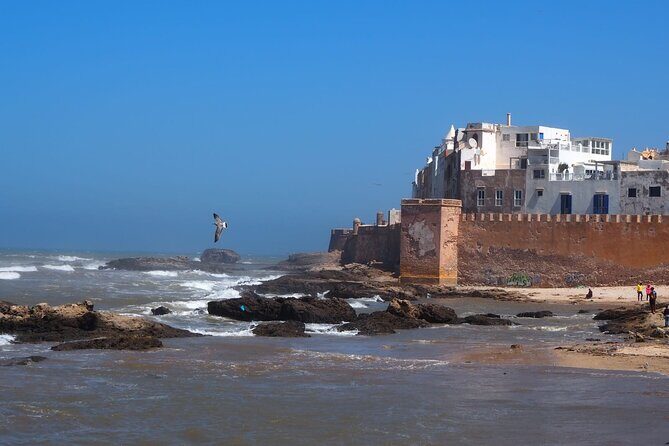 Full Day Essaouira Atlantic Coast City Guided Tour from Marrakech - Practical Details and What to Expect