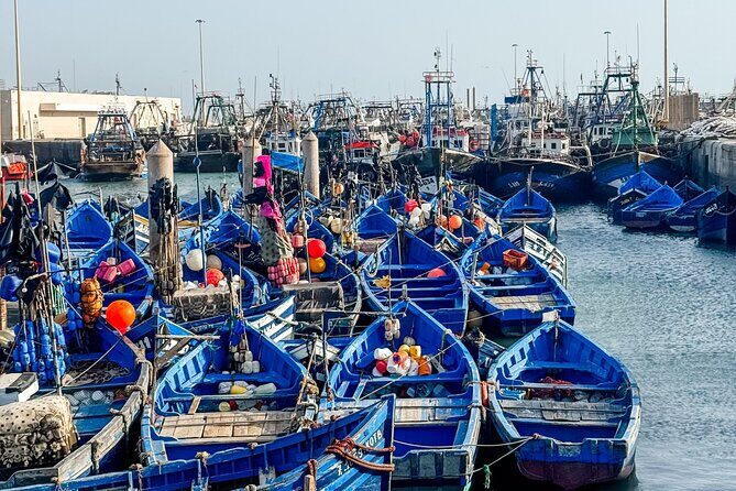 Full-Day Essaouira Tour from Marrakech - The Itinerary: What You’ll Experience