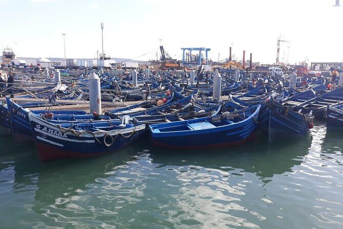 Full-Day Excursion to Essaouira from Marrakech - Valuable Details for Travelers