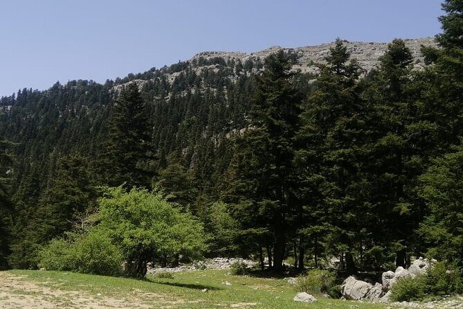Full day excursion to Mount Lakraa | Highest in Talassemtane Park (2159m) - What Makes This Tour Stand Out
