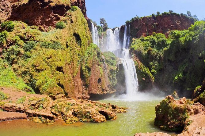 Full-Day Excursion to Ouzoud Waterfalls from Marrakech - Real Traveler Insights: What People Are Saying