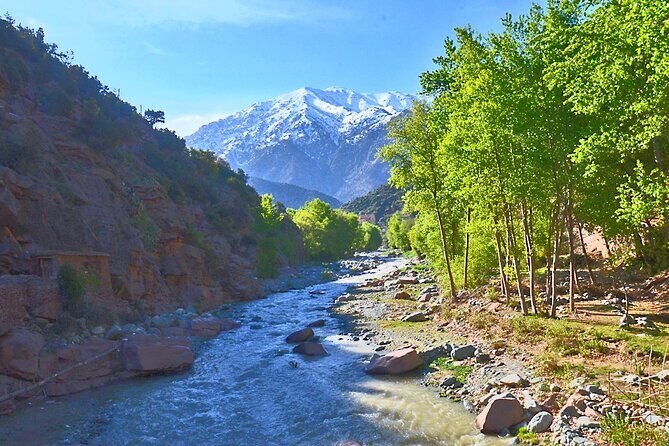 Full Day Excursion Tour to Ourika Valley - Final Thoughts: Who Should Book This Tour?