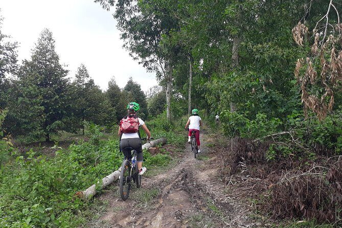 Full Day Experience Mekong Delta By Bike, Boat and Kayak. - The Itinerary: A Closer Look