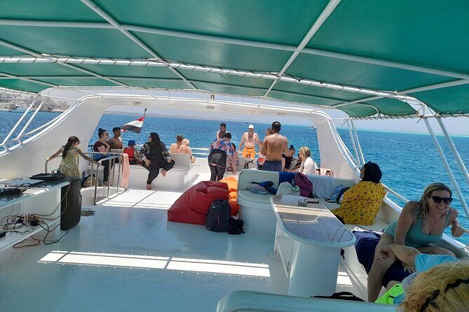Full-Day Experience with Dolphins and Snorkeling in Red Sea - The Value of This Tour