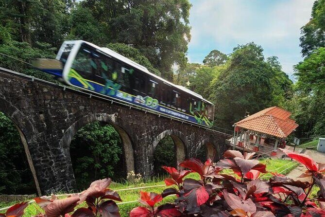 Full Day Flexi Private Tour in Penang Island with Pickup - Transport and Tour Dynamics