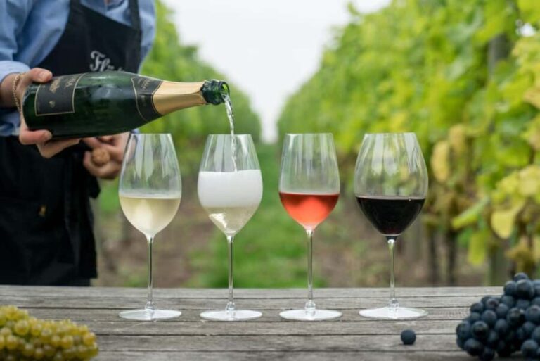Full-Day Franschhoek tram Wine Tour from Cape Town - What You Can Expect on the Tour
