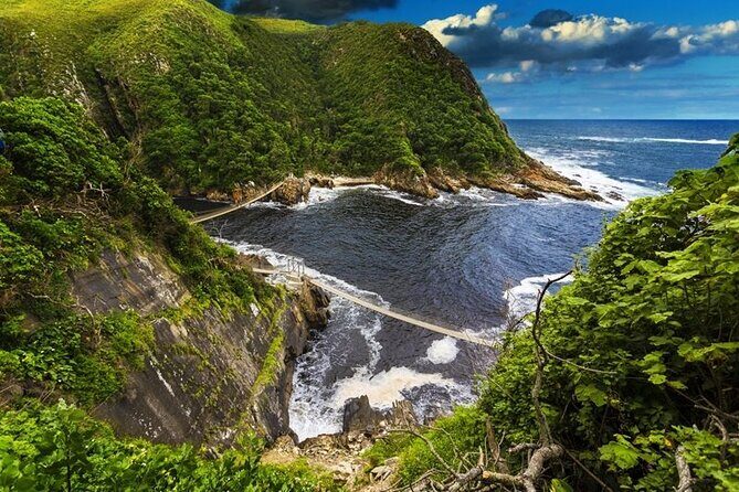 Full-Day Garden Route Safari from Port Elizabeth - Final Thoughts