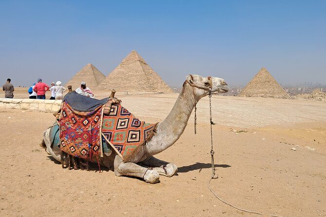 Full day Giza pyramids ,camel ride, Mummies museum and bazar - A Deep Dive into the Tour Experience