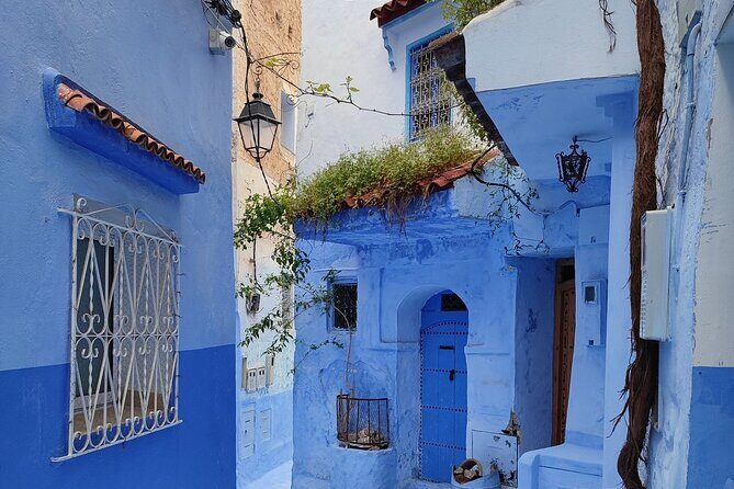 Full-Day Guided Tour from Fez to Chefchaouen - What Travelers Say