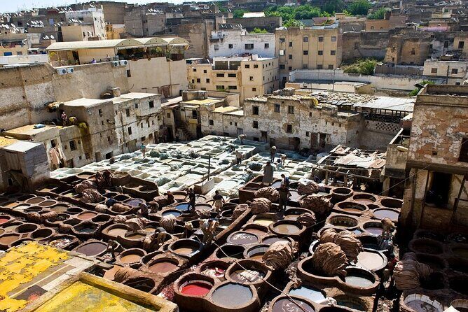 Full Day Guided Tour of Fes' Historic Medina with No Shopping - Practical Insights: What to Expect