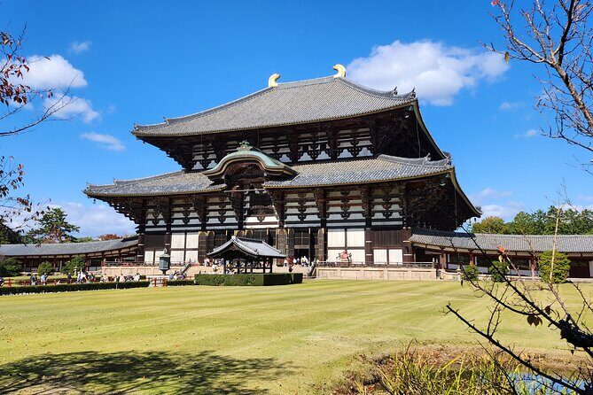 Full Day Guided Tour to Nara from Osaka by Van - An In-Depth Look at the Nara Day Trip