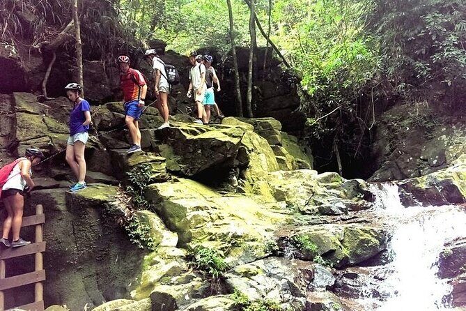 Full-Day Guided Trekking Tour in Bach Ma National Park Vietnam - Authentic Experiences and Traveler Feedback