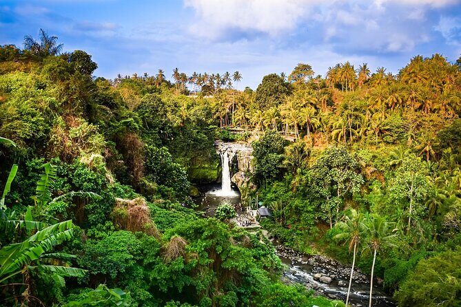 Full-Day Highlights and Best of Ubud Village - Authentic Experiences and Cultural Insights