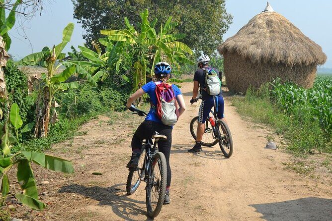 Full-Day Hike and Bike Tour from Chiang Mai - What Travelers Love About This Tour