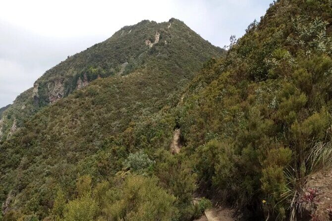 Full-Day Hiking Guided Adventure at Mount Longonot - In-Depth Breakdown of the Itinerary