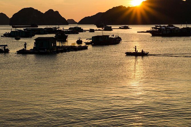 Full day hiking in Jungle of Cat Ba National park - Exploring the Itinerary: From Forest Trails to Bay Views