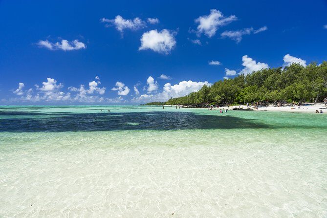 Full Day Ile aux Cerfs Speedboat Trip With Hotel Transfers (Private or Shared) - What Makes This Tour Stand Out