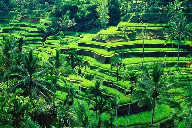 Full-Day in Bali: Amazing Ubud Tour - Final Thoughts