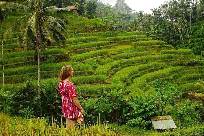 Full-Day in Bali: Private Design-Your-Own Tour - What It’s Like to Build Your Own Bali Day