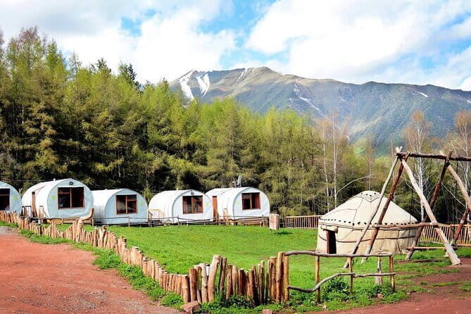 Full Day in Nature at Chunkurchak and Ala Archa National Park - Why Choose This Tour?