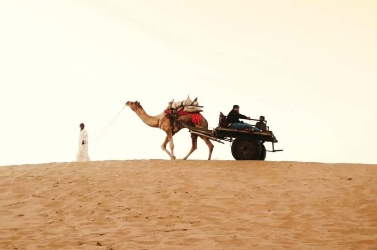 Full-Day Jaisalmer Desert Safari & City Tour with Camel Ride - Exploring Jaisalmer: The City Highlights