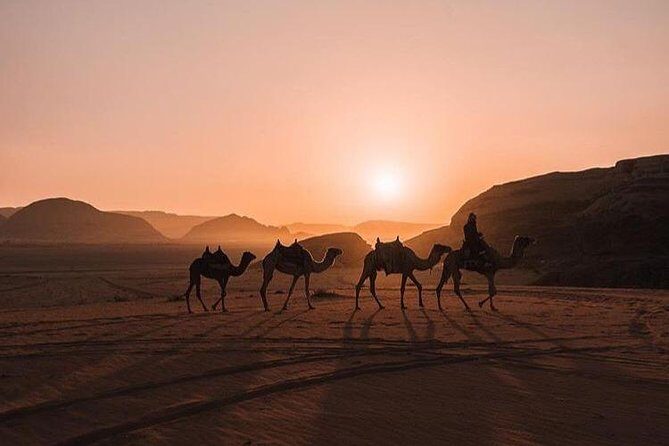 Full Day Jeep Tour with Overnight in beduin Camp Stay! (All Meals Included) - The Value of This Tour