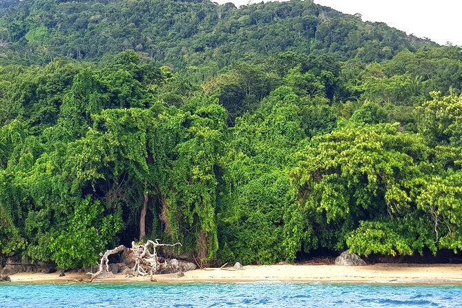 Full-day jungle trek on Nosy Komba (Lemur island) with the Black Lemur Sanctuary - What Travelers Say