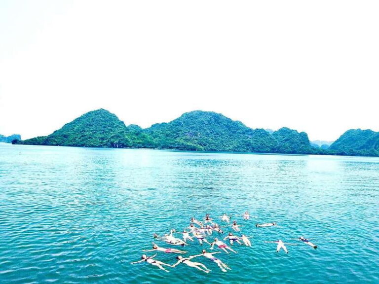 Full day : Kayaking,Swimming,Snorkeling,Sunset,Plankton - What Makes This Tour Stand Out?