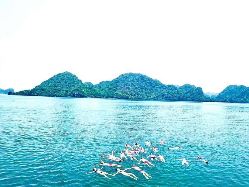 Full day : Kayaking,Swimming,Snorkeling,Sunset,Plankton - What Makes This Tour Stand Out?