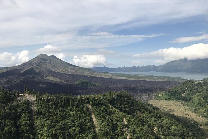 Full Day Kintamani Volcano View and Ubud Village Tour - What Travelers Say